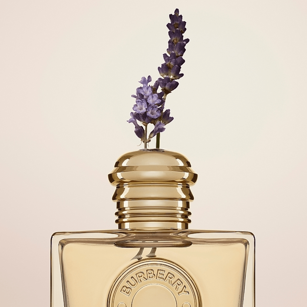 Burberry Goddess Eau de Parfum Women's Perfume Spray (30ml, 50ml, 100ml)